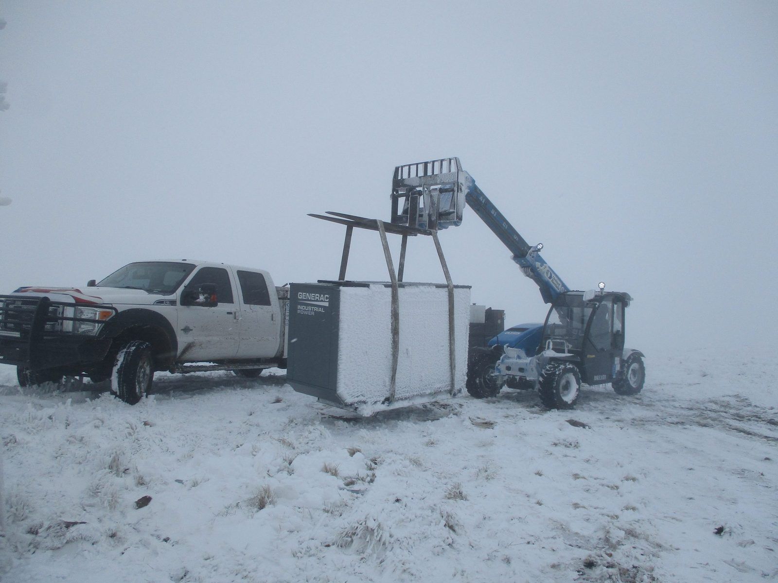 Field Work — Collins field work