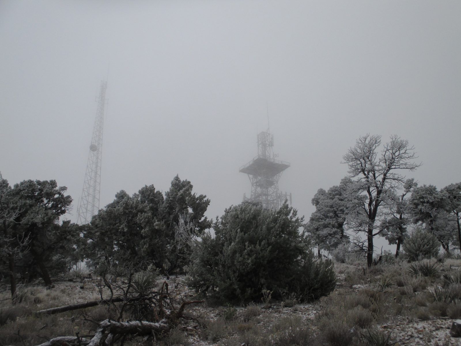 Tower